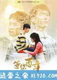 等你百年 (2014) 4K网盘迅雷下载