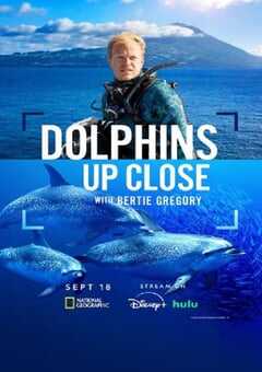 2025年美国纪录片《摄影师贝尔蒂与海豚零距离》HD英语中字 4K网盘迅雷下载