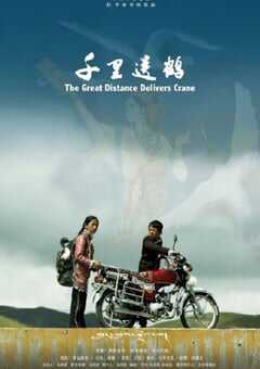 2022年国产剧情片《千里送鹤》HD国语中字 4K网盘迅雷下载