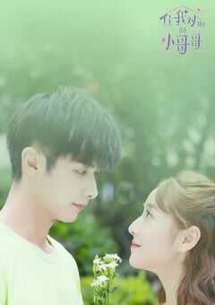 2021年国产大陆电视剧《住我对面的小哥哥》全22集 4K网盘迅雷下载