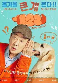 2024年韩国电视剧《狗话》全12集 4K网盘迅雷下载