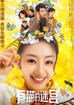 2024年国产大陆电视剧《有猫的迷宫》全24集 4K网盘迅雷下载