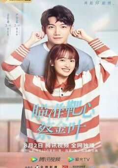 2022年国产大陆电视剧《瞄准靶心！蔡金叶》全18集 4K网盘迅雷下载