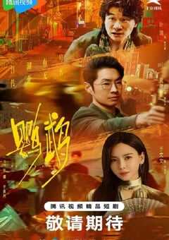 2025年国产大陆电视剧《鹦鹉》全44集 4K网盘迅雷下载