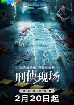 2025年国产大陆电视剧《刑侦现场》全18集 4K网盘迅雷下载