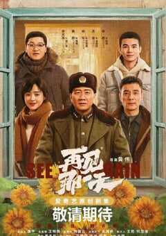 2021年国产大陆电视剧《再见那一天》全6集 4K网盘迅雷下载