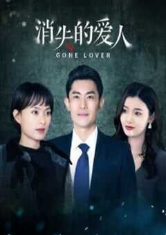 2025年国产大陆电视剧《消失的爱人》全24集 4K网盘迅雷下载
