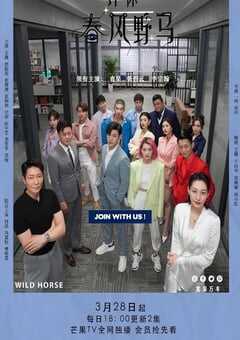 2023年国产大陆电视剧《许你春风野马》全40集 4K网盘迅雷下载