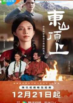 2025年国产大陆电视剧《东山顶上》全12集 4K网盘迅雷下载