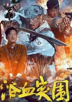 2025年国产战争片《浴血突围》HD国语中字 4K网盘迅雷下载