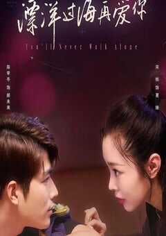 2023年国产大陆电视剧《漂洋过海再爱你》全28集 4K网盘迅雷下载