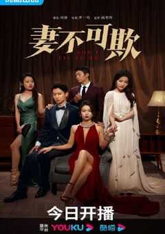 2023年国产大陆电视剧《妻不可欺》全26集 4K网盘迅雷下载