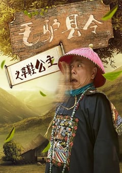 2016年国产喜剧片《毛驴县令之草鞋公主》HD国语中字 4K网盘迅雷下载