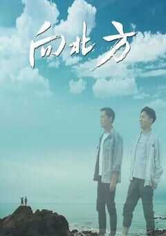 2022年国产爱情片《向北方》HD国语中字 4K网盘迅雷下载