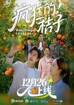 2025年国产大陆电视剧《疯狂的桔子》全16集 4K网盘迅雷下载