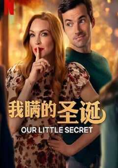 2024年美国喜剧片《我们的小秘密》HD中英双字 4K网盘迅雷下载