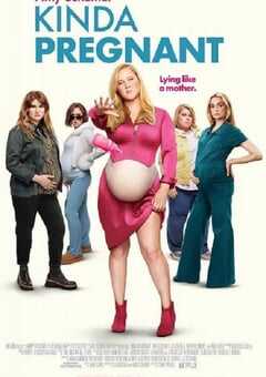 2025年美国喜剧片《肚假情真》HD中英双字 4K网盘迅雷下载