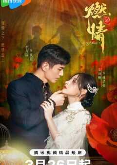 2025年国产大陆电视剧《燃情》全24集 4K网盘迅雷下载