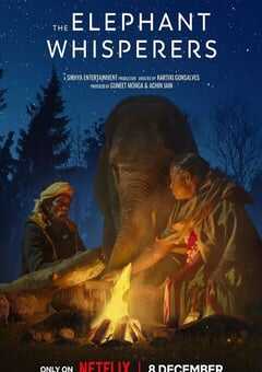 2022年印度纪录片《小象守护者》BD中英双字 4K网盘迅雷下载