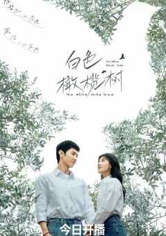 2025年国产大陆电视剧《白色橄榄树》全38集 4K网盘迅雷下载