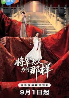 2025年国产大陆电视剧《将军夫人为何那样》全24集 4K网盘迅雷下载