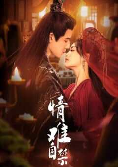 2024年国产大陆电视剧《情难自禁》全20集 4K网盘迅雷下载