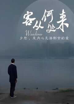 2021年国产剧情片《客从何处来》HD国语中英双字 4K网盘迅雷下载