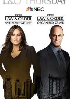 2021年美国电视剧《法律与秩序：特殊受害者 第二十三季》全22集 4K网盘迅雷下载