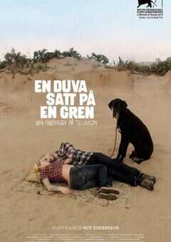 2014年瑞典经典喜剧片《寒枝雀静》蓝光中英双字 4K网盘迅雷下载