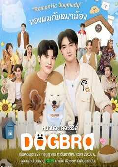 2025年泰国电视剧《恋爱汪汪汪》全6集 4K网盘迅雷下载