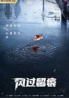 2026年国产大陆电视剧《风过留痕》连载至30 4K网盘迅雷下载