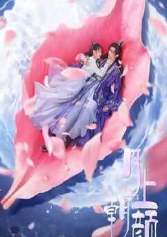 2024年国产大陆电视剧《月上朝颜》全24集 4K网盘迅雷下载