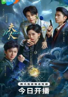 2025年国产大陆电视剧《夫人》全24集 4K网盘迅雷下载