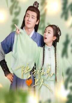 2025年国产大陆电视剧《陪我去见心上人》全20集 4K网盘迅雷下载