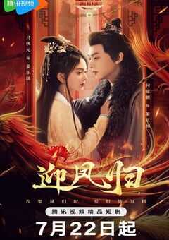 2025年国产大陆电视剧《迎凤归》全28集 4K网盘迅雷下载