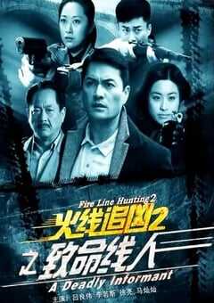 2013年国产经典动作片《火线追凶2之致命线人》HD国语中字 4K网盘迅雷下载
