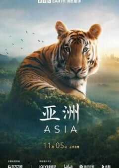 2024年英国电视剧《亚洲》全7集 4K网盘迅雷下载
