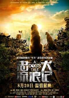 2021年国产冒险片《忠犬流浪记》HD国语中英双字 4K网盘迅雷下载