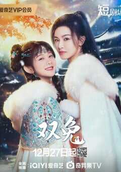 2024年国产大陆电视剧《双兔》全24集 4K网盘迅雷下载