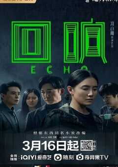 2023年国产大陆电视剧《回响》全13集 4K网盘迅雷下载