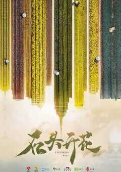 2020年大陆国产电视剧《石头开花》全22集 4K网盘迅雷下载