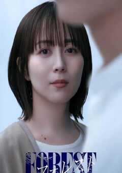 2025年日本电视剧《森林》全8集 4K网盘迅雷下载