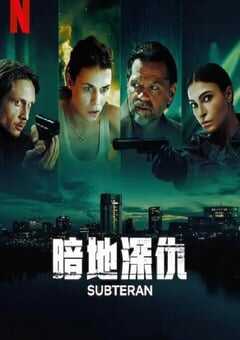 2025年罗马尼亚电视剧《暗地深仇》全6集 4K网盘迅雷下载