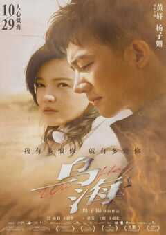 2020年国产6.1分爱情悬疑片《乌海》HD国语中字 4K网盘迅雷下载