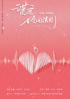 2022年国产大陆电视剧《谎言使用法则》全18集 4K网盘迅雷下载