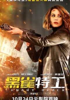 2024年英国动作片《黑雀特工》BD中英双字 4K网盘迅雷下载