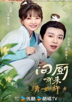 2024年国产大陆电视剧《问厨哪来清如许》全20集 4K网盘迅雷下载