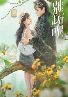 2024年国产大陆电视剧《别走好吗别西君》全24集 4K网盘迅雷下载