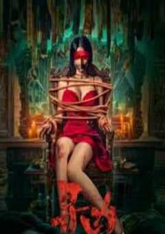 2025年国产悬疑片《寻凶》HD国语中字 4K网盘迅雷下载