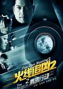 2013年国产经典动作片《火线追凶2之鹈鹕行动》HD国语中字 4K网盘迅雷下载